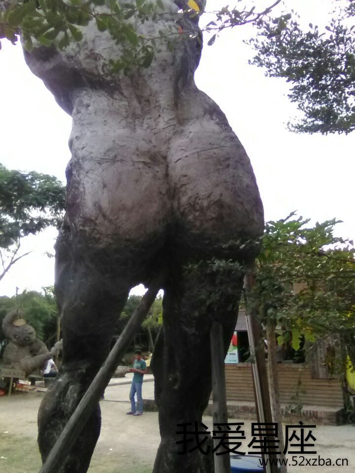 QQ图片20151122190836.jpg