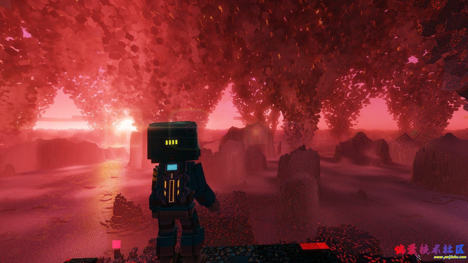 202505161747367306247928.jpg