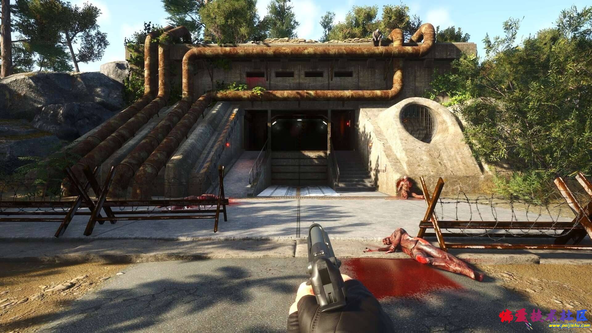 2.jpg