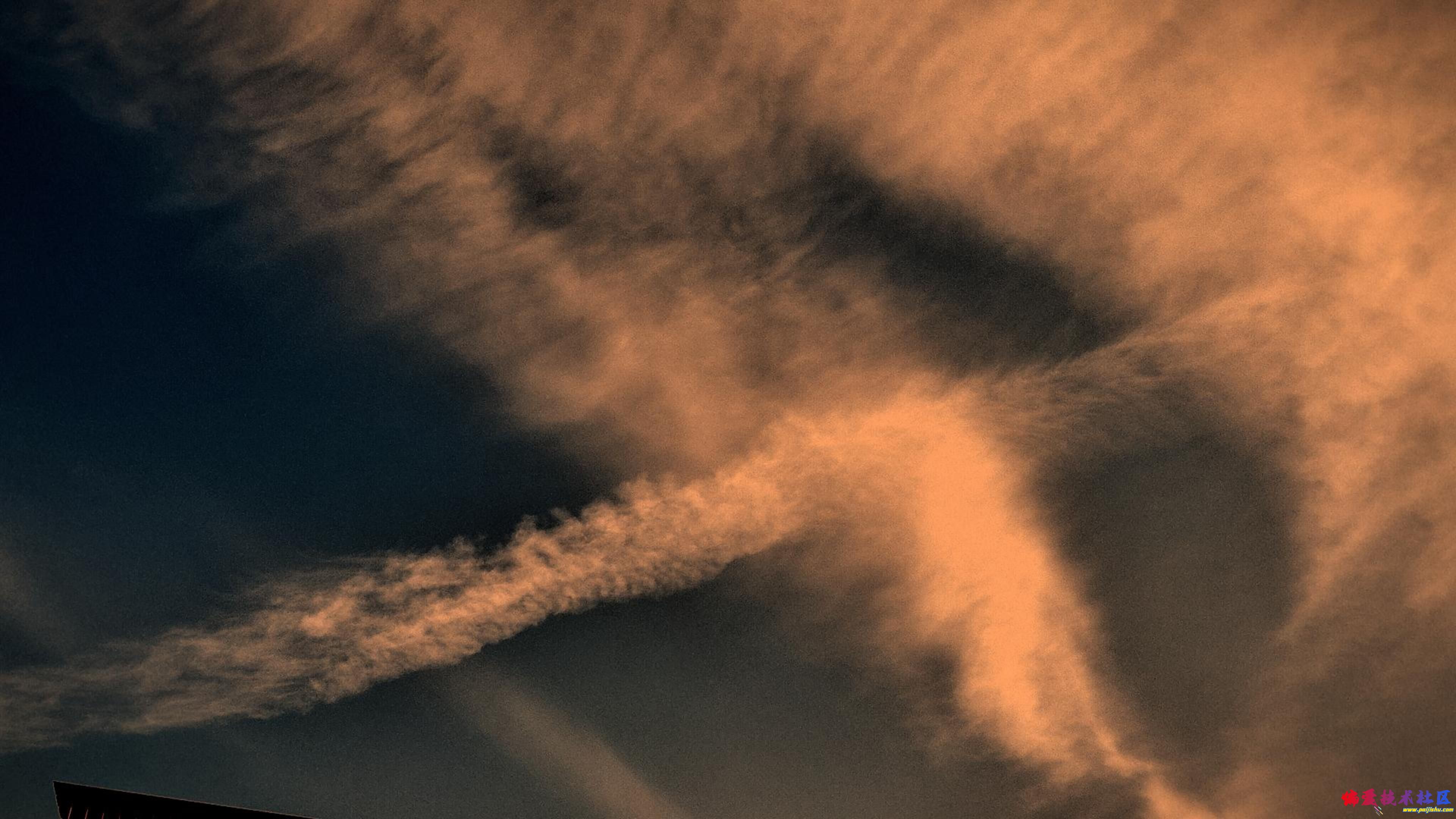 1月1日 (1)(1)-封面.jpg