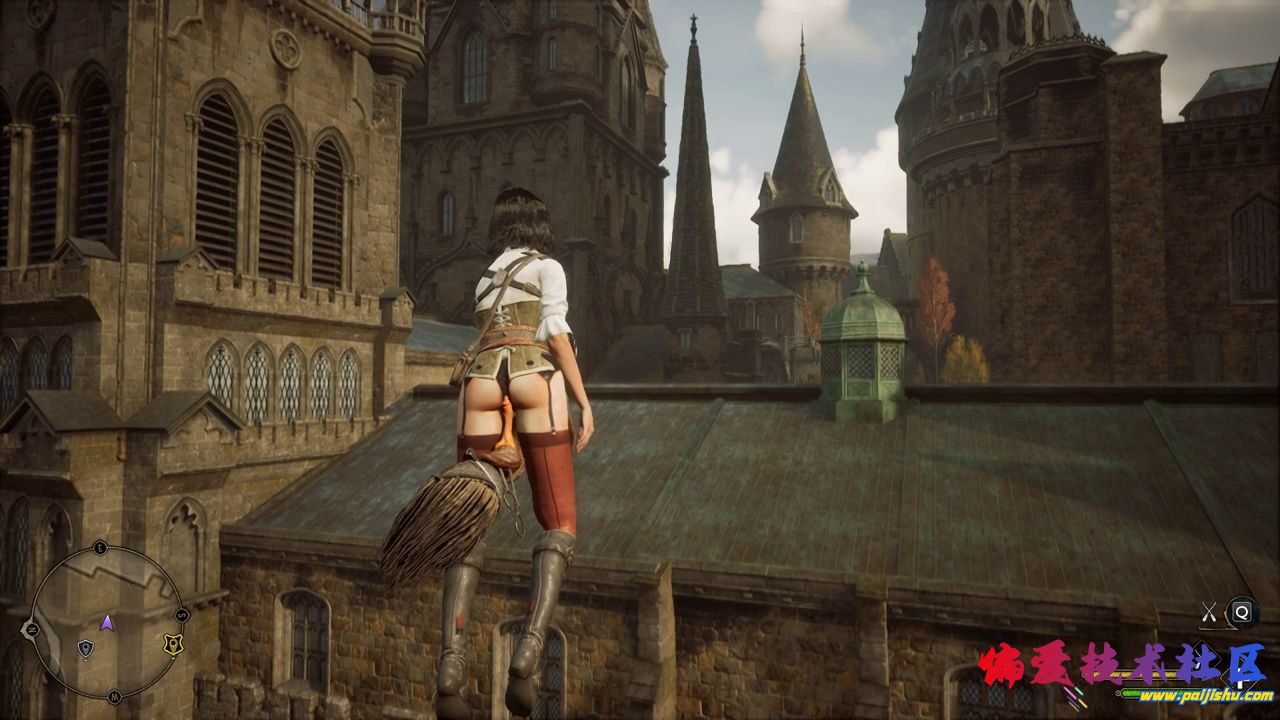 61577.jpg