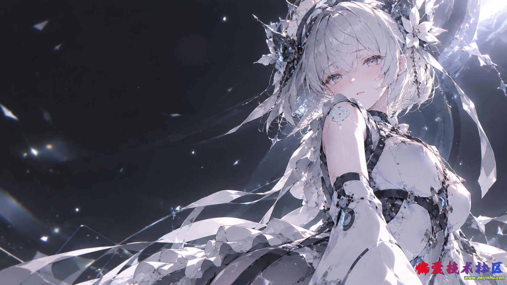 壁纸02233.png
