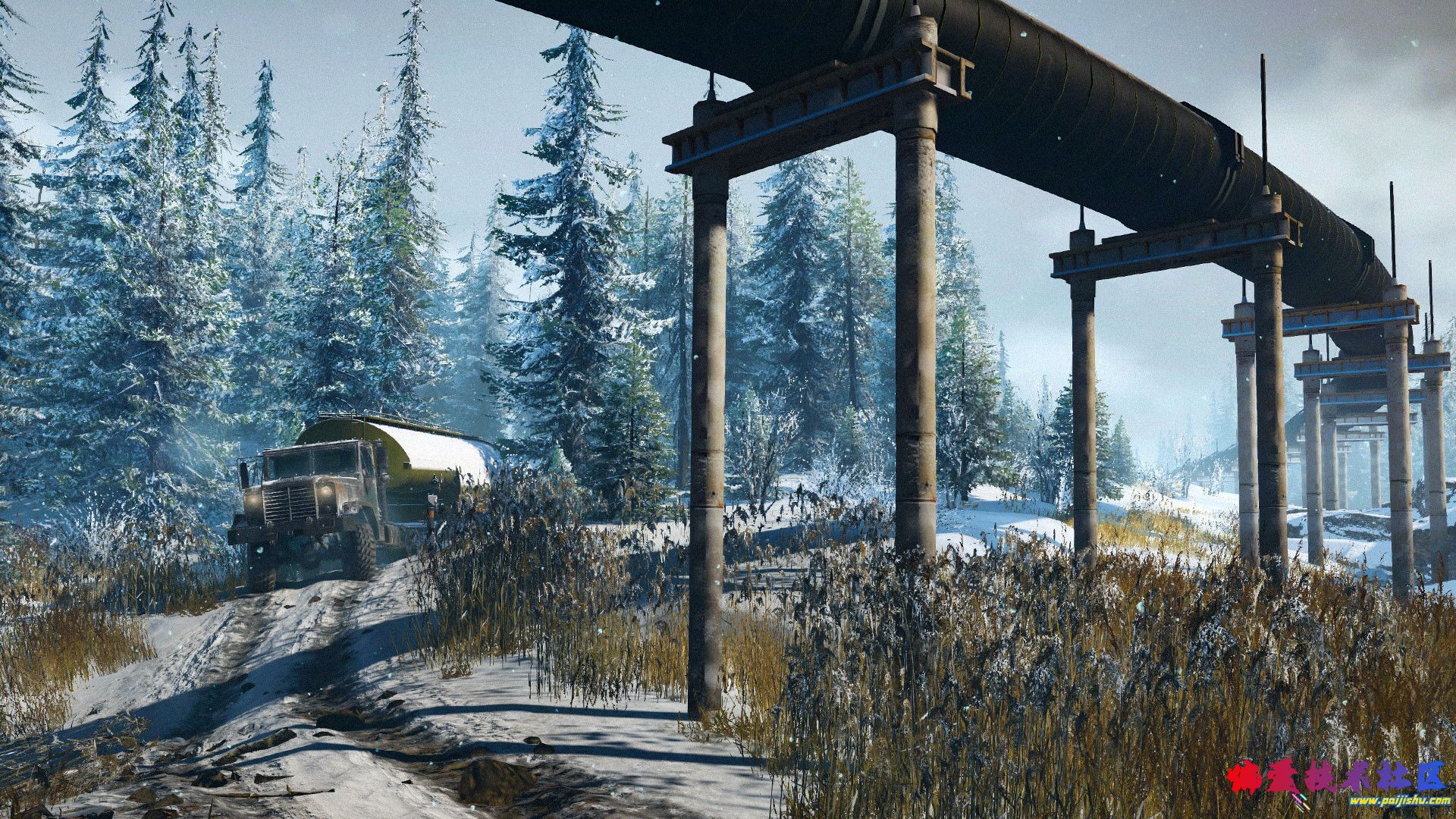 04.jpg